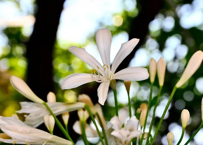 Moderna Hotel Gênes