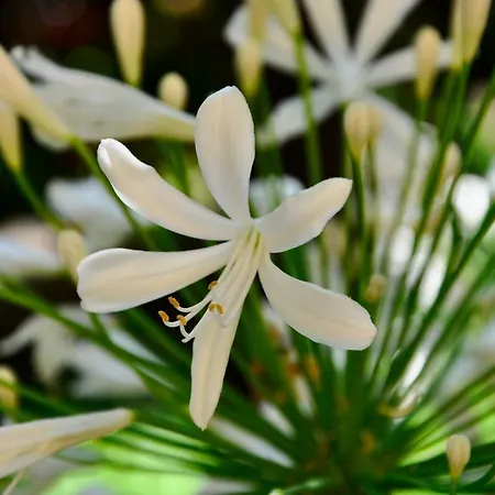 Moderna Hotell Genua