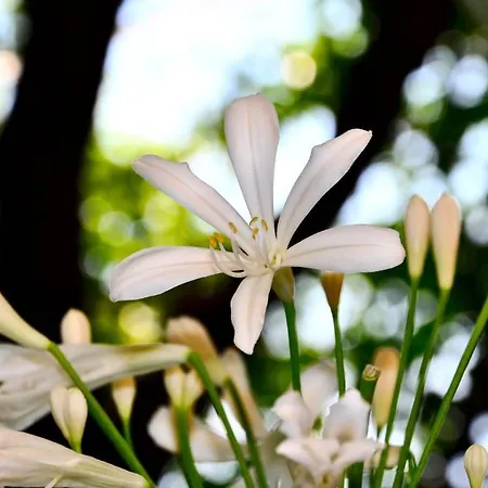 Moderna ホテル ジェノヴァ